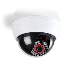 Nedis DUMCD20WT Dummy Beveiligingscamera Dome Ip44 Wit